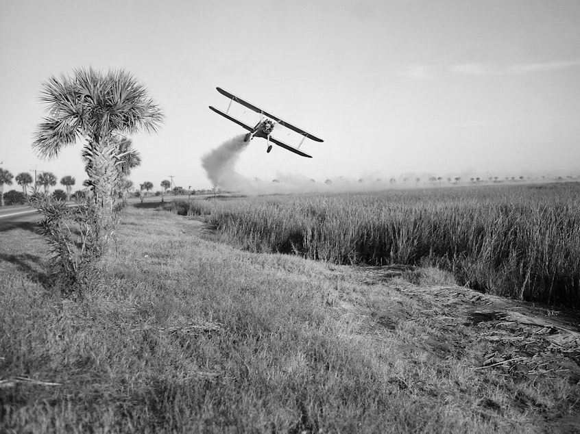 caption: Even though the U.S. said it eliminated malaria in 1951, efforts have continued to keep the disease at bay. Above: A Stearman biplane sprays insecticide during malaria control operations in Savannah, Georgia in 1973.