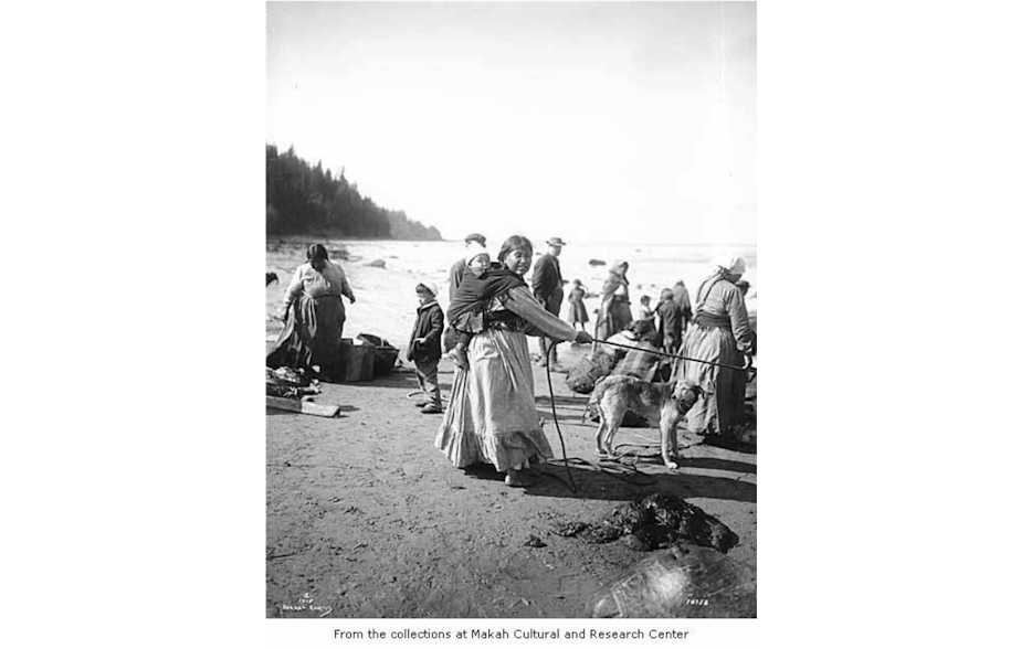 caption: Woman with a rope and a baby and other people during whale cutting on the beach at Neah Bay, 1910. (Image information provided by Makah Cultural and Research Center.)
