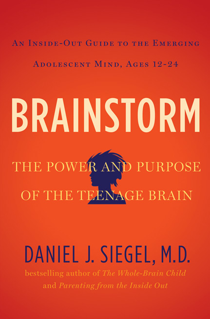 Brainstorm by Daniel J. Siegel MD