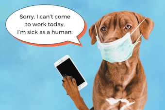 caption: A dog wearing a medical mask appears to be holding up a smartphone, saying, "Sorry, I can't come to work today. I'm sick as a human."