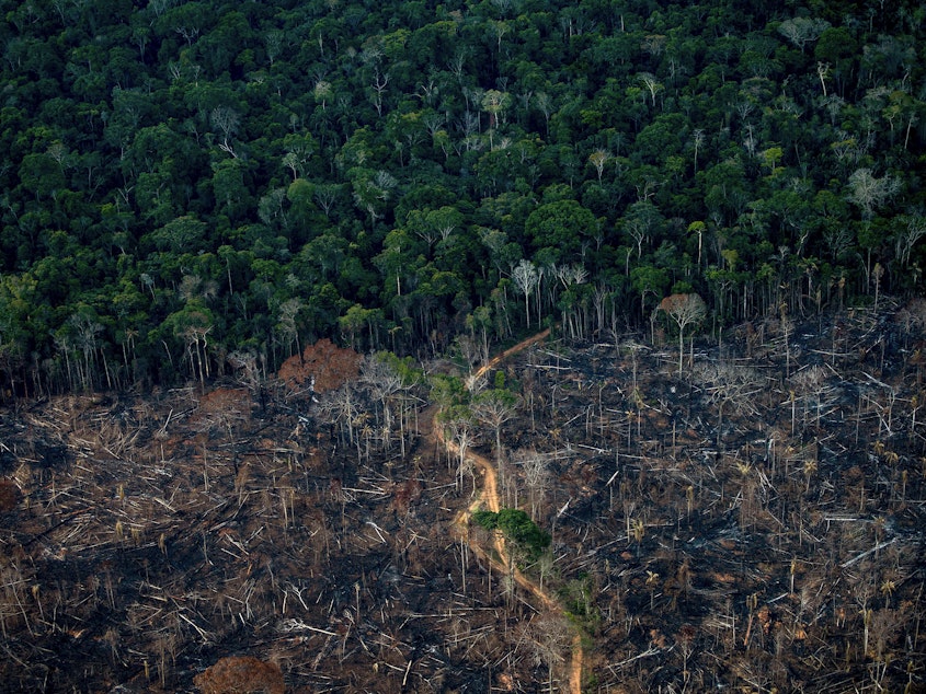 caption: An aerial view shows a deforested area of Amazonia rainforest in Labrea, Amazonas state, Brazil, in September.
