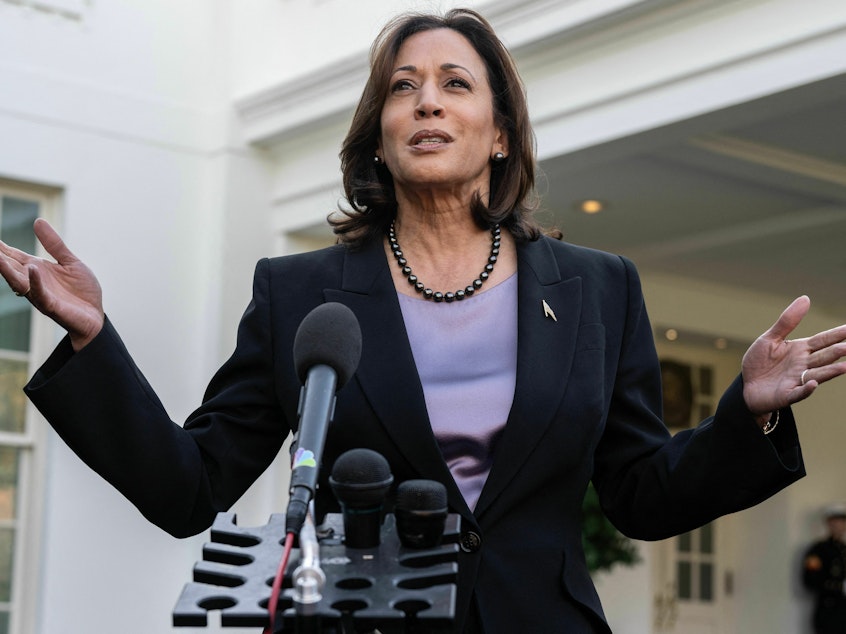 caption: Vice President Harris, seen here at the White House on Nov. 8, made a quick trip to South Carolina on Friday to file official paperwork for the state's Democratic primary.