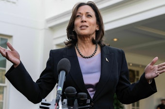 caption: Vice President Harris, seen here at the White House on Nov. 8, made a quick trip to South Carolina on Friday to file official paperwork for the state's Democratic primary.