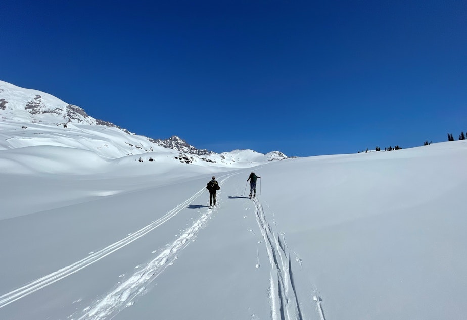caption: Chris Morgan (left) and Jocelyn Akins (right) move across a snow field in Mount Rainier National Park towards a wolverine camera site. 