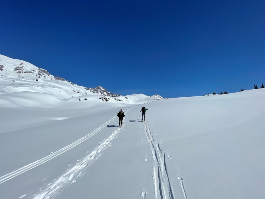 caption: Chris Morgan (left) and Jocelyn Akins (right) move across a snow field in Mount Rainier National Park towards a wolverine camera site. 