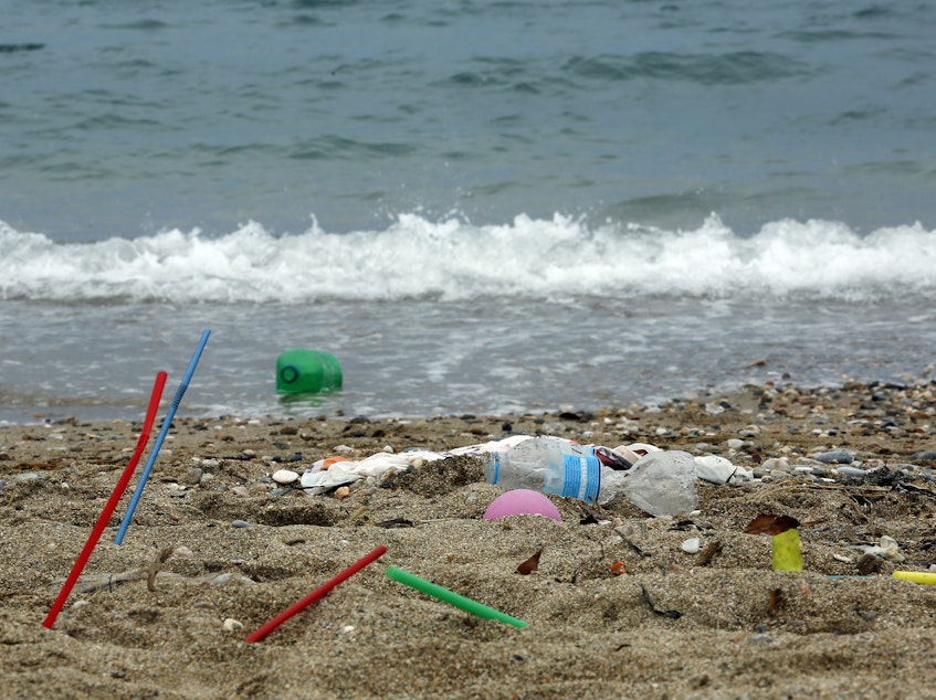 caption: Plastic garbage lying on the Aegean sea beach in Greece.