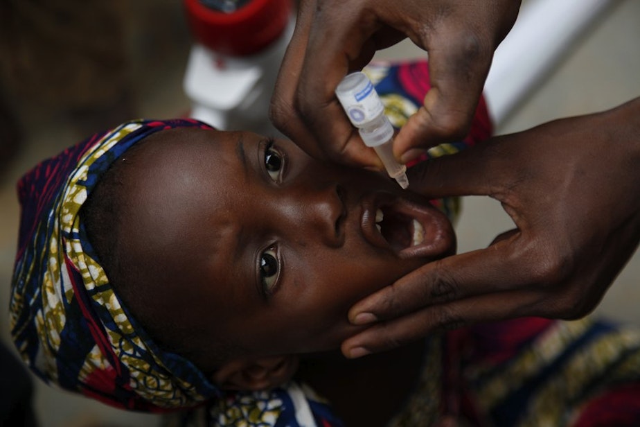caption: A child receives an oral polio vaccine in Nigeria.