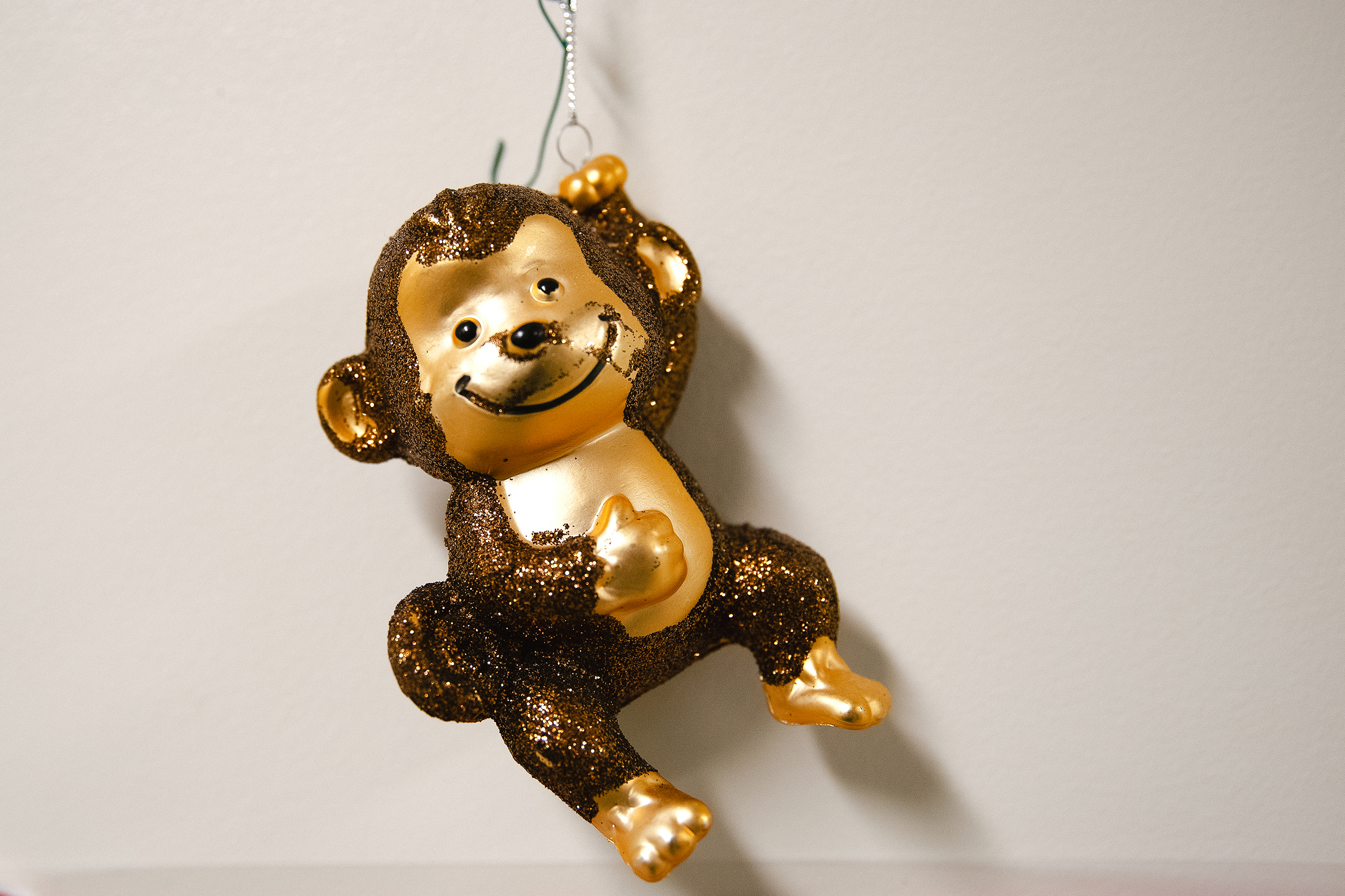 caption: A monkey ornament hangs from an office door on Thursday, Aug. 21, 2025, at the Washington National Primate Research Center on the University of Washington campus in Seattle. 