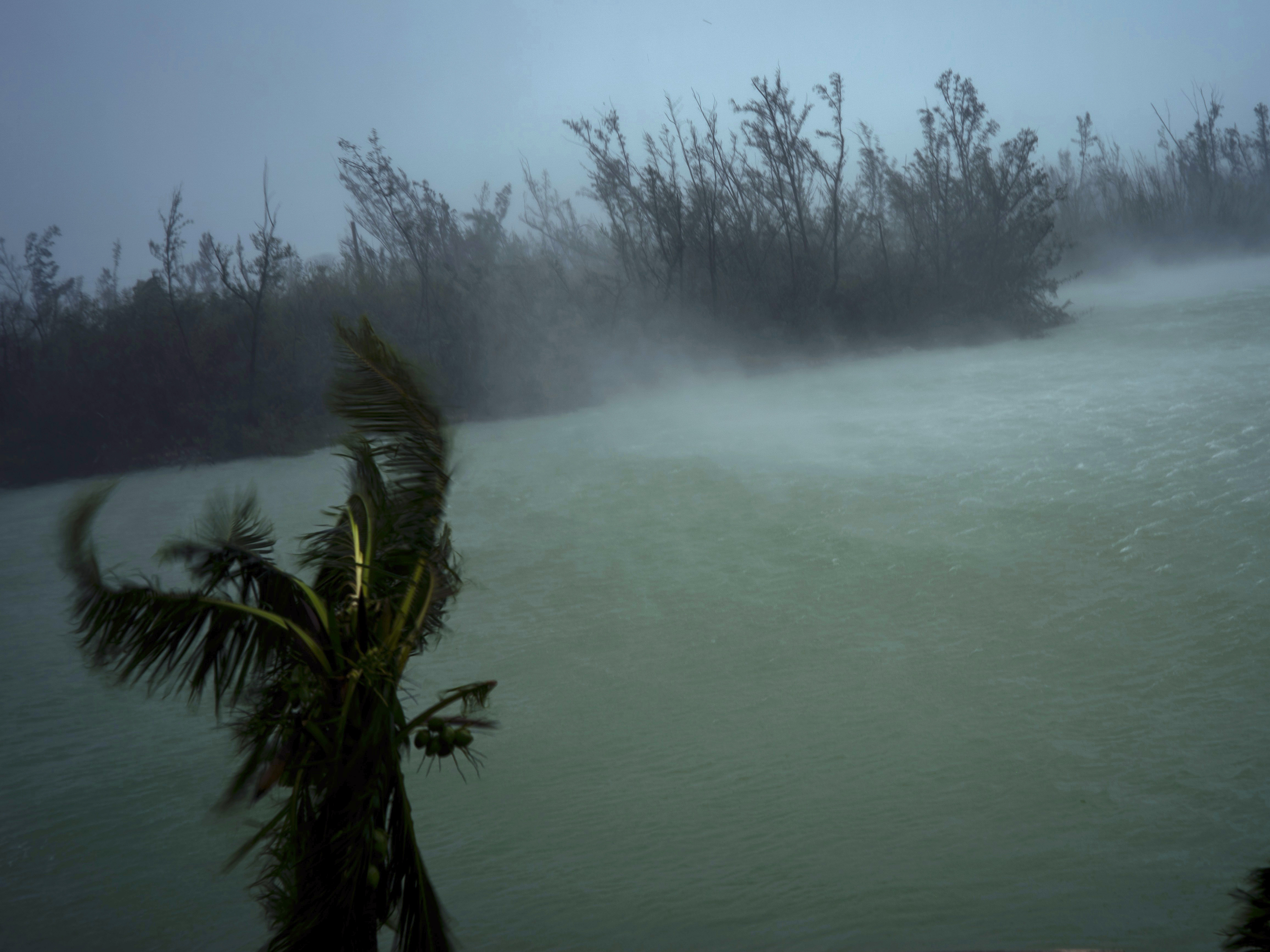 caption: Strong winds seen from the balcony of a hotel in Freeport, Grand Bahama, where Hurricane Dorian hovered most of Monday, pummeling the islands with a fearsome Category 4 assault.