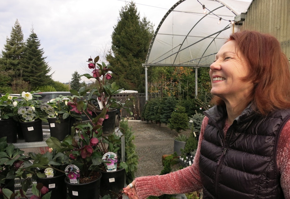 caption: Lyn Robinson owns Zenith Holland Gardens. She laughs at a landscaping joke made by KUOW listener, Nick Millward.