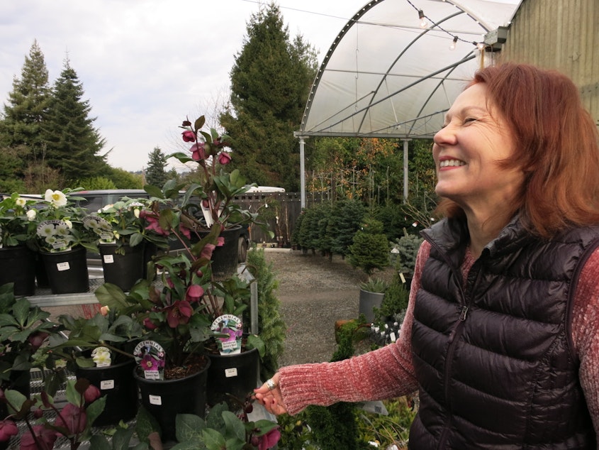 caption: Lyn Robinson owns Zenith Holland Gardens. She laughs at a landscaping joke made by KUOW listener, Nick Millward.
