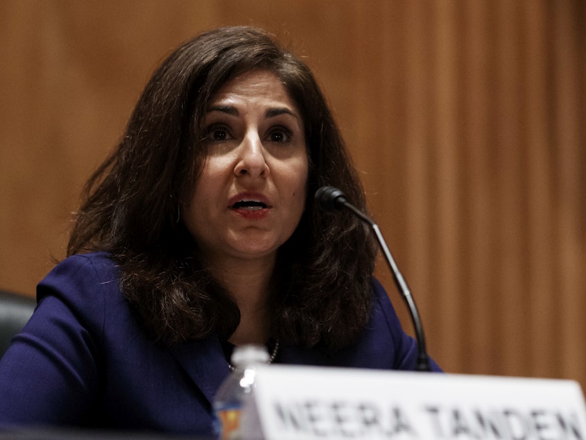 caption: Neera Tanden, President Biden's nominee for director of the Office and Management and Budget, speaks during a Senate Homeland Security and Governmental Affairs Committee confirmation hearing on Tuesday. Tanden apologized for past insults to Republicans.
