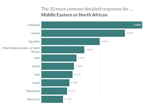A bar chart showing the 10 most common detailed responses for the Middle Eastern or North African category: Lebanese, Iranian, Egyptian, Other Middle Eastern or North African, Arab, Syrian, Iraqi, Israeli, Palestinian and Moroccan.