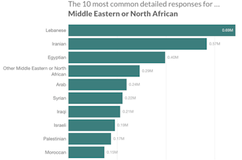 A bar chart showing the 10 most common detailed responses for the Middle Eastern or North African category: Lebanese, Iranian, Egyptian, Other Middle Eastern or North African, Arab, Syrian, Iraqi, Israeli, Palestinian and Moroccan.