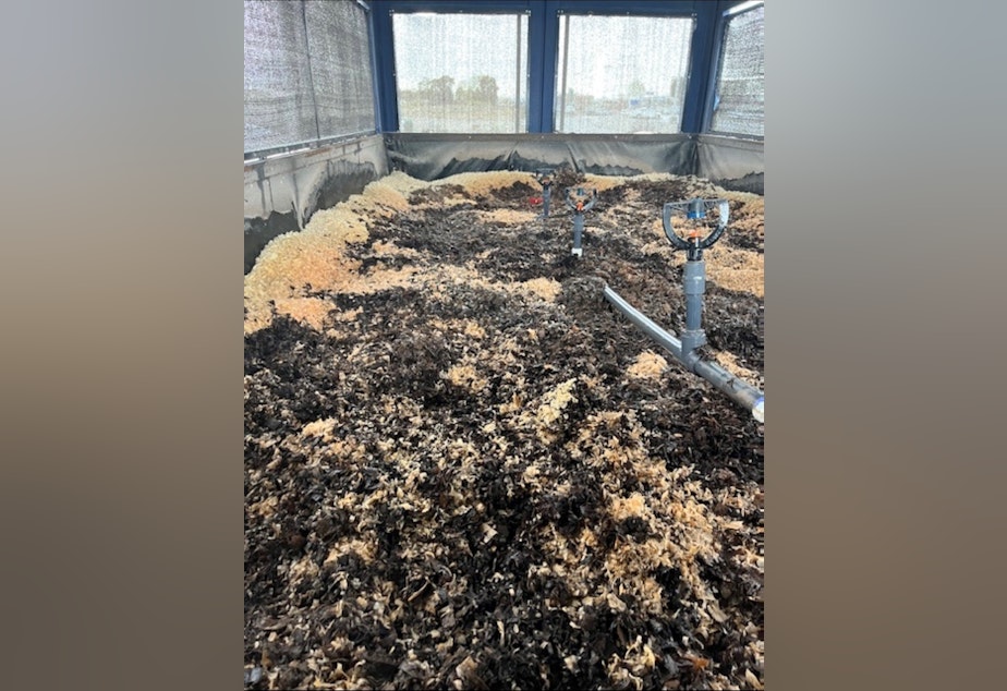 caption: The Tri-Cities Airport in Pasco is piloting a new program that could lead the country in cleanly disposing of deicing wastewater using worms.