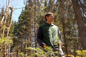 caption: Tony D'Amato, director of the University of Vermont's forestry program, visits an experiment site in the Silvio O. Conte National Fish and Wildlife Refuge.