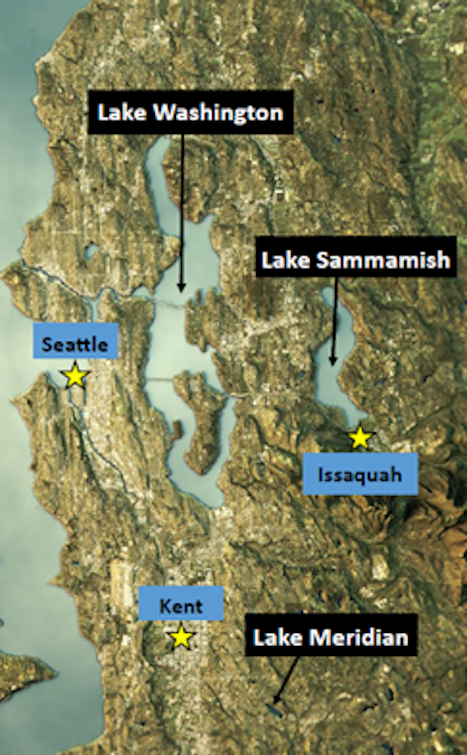 caption: According to a 2022 report, the Washington State Department of Health found dangerous chemicals in cutthroat trout from Lake Washington, largemouth bass from Lake Sammamish, and smallmouth bass in Lake Meridan, all in King County.