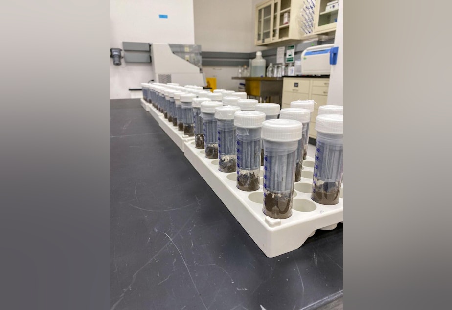 caption: A rack of tubes contain different cultures of bacteria to be added to sterile soil for the Dynamics of the Microbiome in Space (DynaMoS) experiments