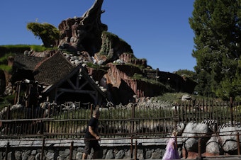 caption: Guests walk in line to Splash Mountain at Disneyland in 2013.