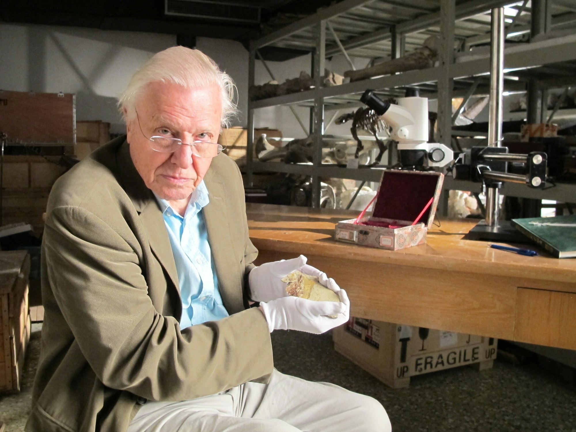 David Attenborough celebrates his 100th birthday