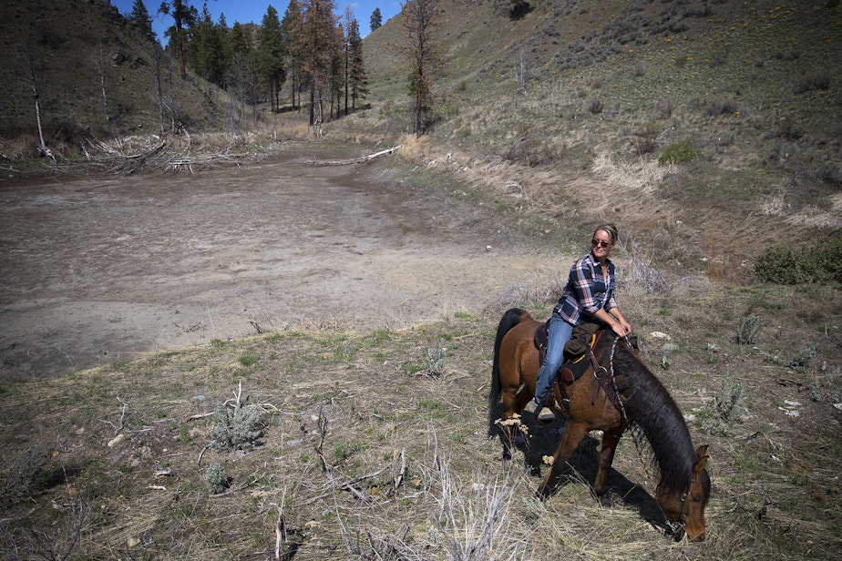 caption: Christina Cline rides her horse, the Big Bad Wolf, next to a dry pond that is typically filled with water, on Tuesday, April 23, 2019, near Carlton, Washington.