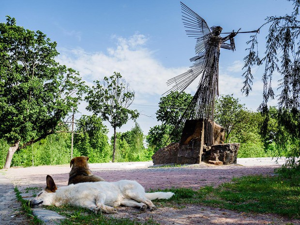 caption: <p>Julia Oldham's&nbsp;photo exhibition, &ldquo;Dogs of Future Earth&rdquo; follows&nbsp;dogs roaming around Pripyat, the closest city to the Chernobyl nuclear disaster.</p>
