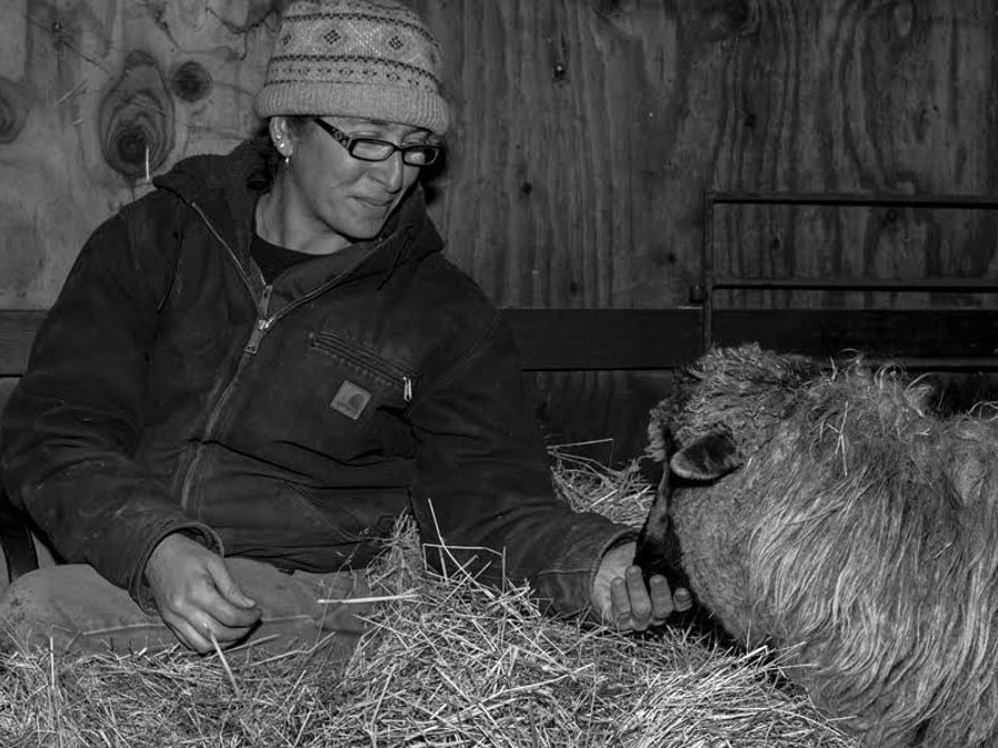 caption: Mickey Willenbring tends to one of her Navajo-Churro sheep at Dot Ranch in Scio, Ore.