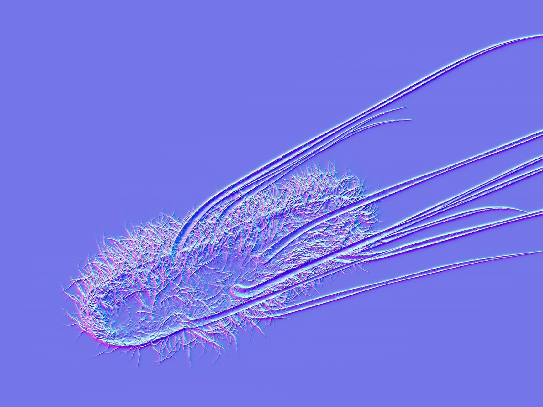 caption: Escherichia coli or E. coli is a part of family of bacteria that are commonly found in the human gut. Scientists found that a toxin the bacteria release is linked to some cases of colorectal cancer.