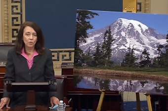 caption: Washington Democratic Sen. Maria Cantwell helped push through the Great American Outdoors Act, speaking on the Senate floor with a picture of Mount Rainier on June 17, 2020.