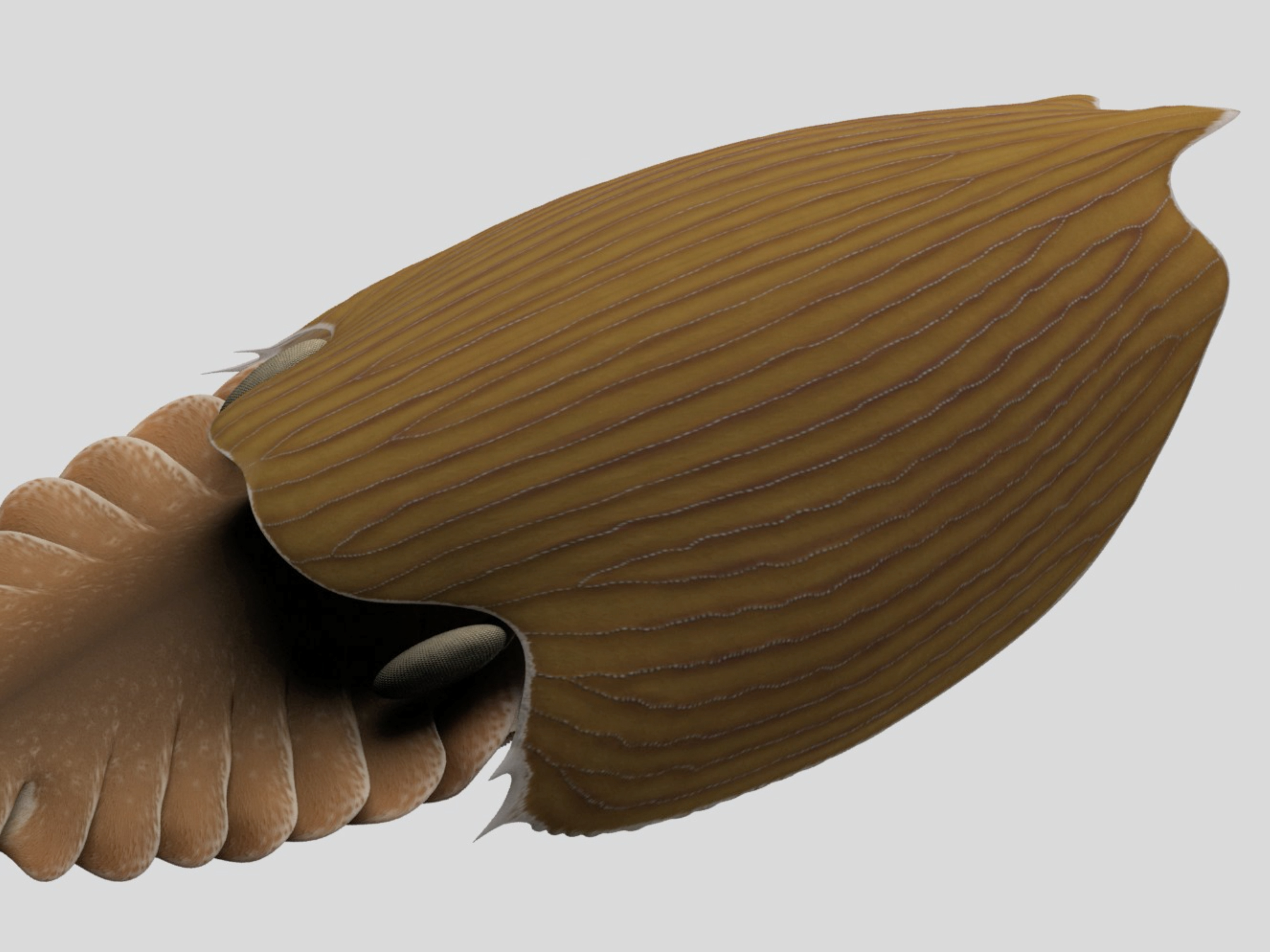 caption: A reconstruction of the <em>Titanokorys gainesi</em>, a new species of extinct sea animal discovered in Canada.