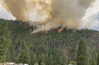 caption: Smoke rises from the Head Fire in Klamath National Forest, Calif., on Tuesday Aug. 15, 2023.