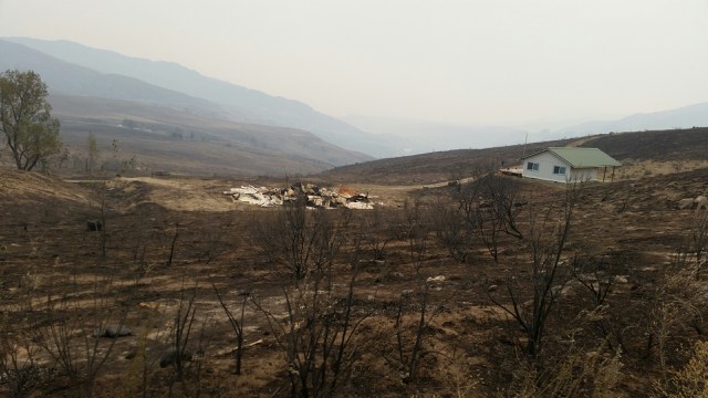caption: According to one resident, the Pateros fire burned up everything that could be burned in the Eastern Washington town.