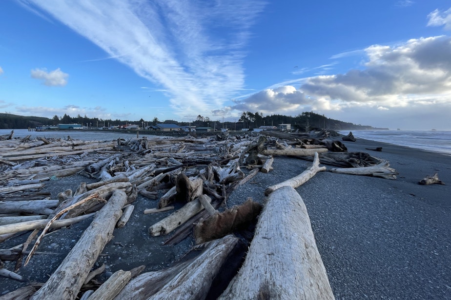 caption: Driftwood lines the beach at the mouth of the Quinault River and the village of Taholah, Washington, on Jan. 11, 2024.