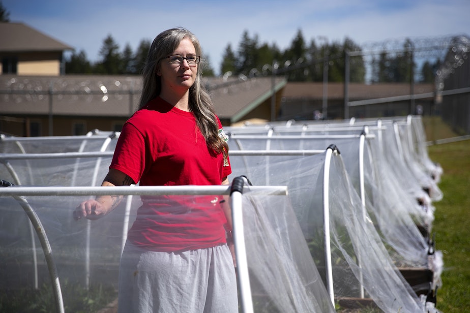caption: Trista Egli has raised more than 20,000 Taylor’s checkerspots in her three years at Mission Creek Corrections Center for Women, shown May 30, 2025.