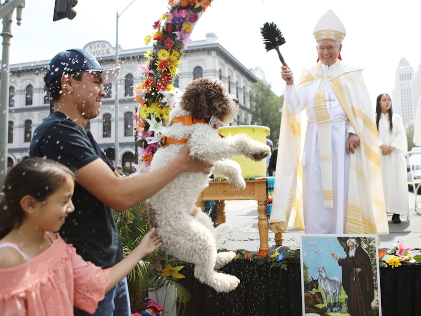 caption: Archbishop José Gomez, 67, was elected to lead the U.S. Conference of Catholic Bishops Tuesday. He's seen here blessing a dog with holy water during the annual Blessing of the Animals ceremony in Los Angeles last year.