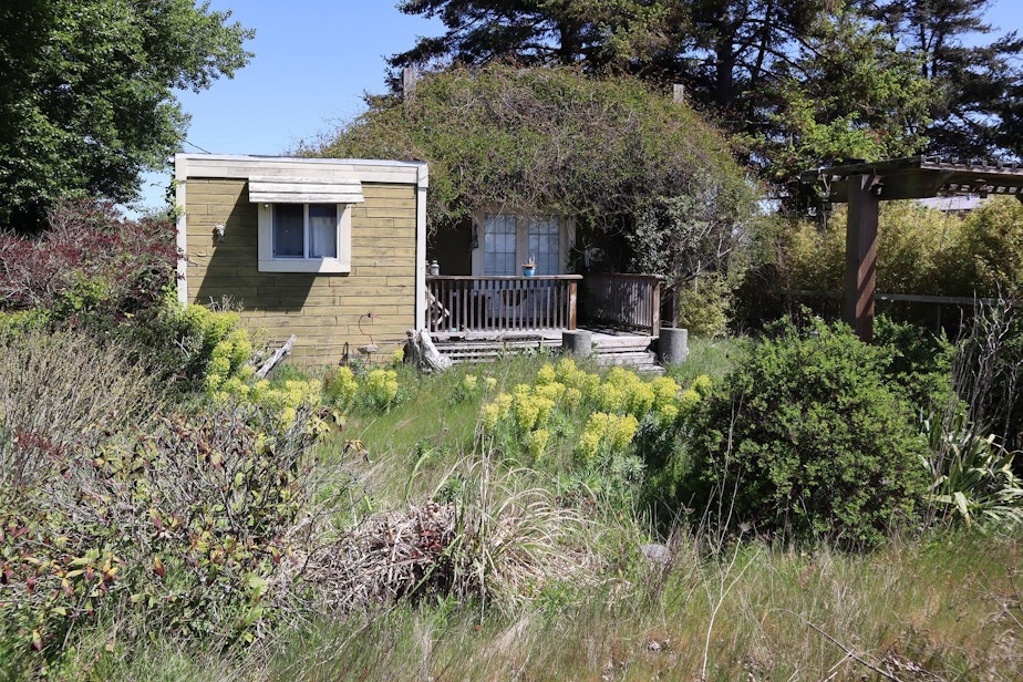 caption: Second homes in Point Roberts owned by Canadians can be easily recognized by their overgrown yards. The extended border closure keeps the owners away.