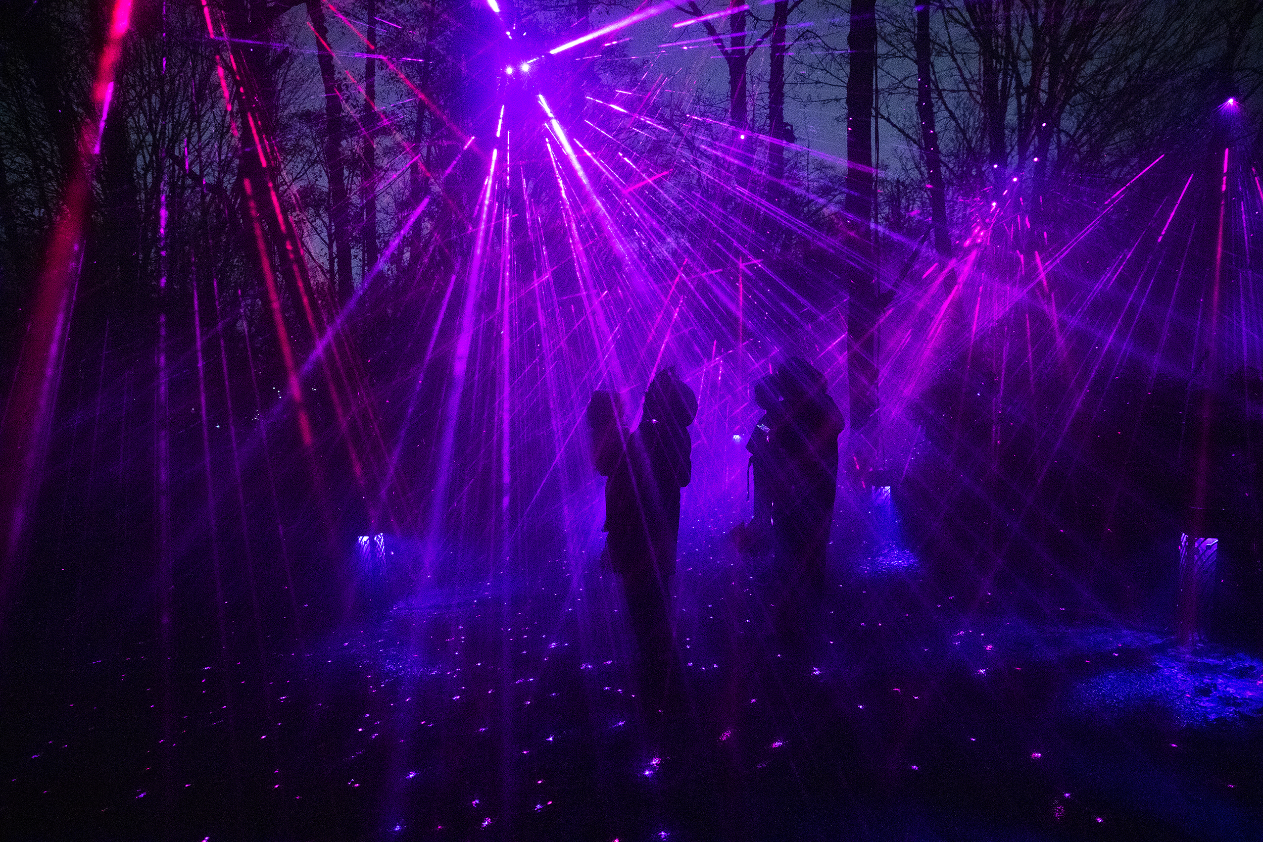 caption: Guests take in the enchanted Astra Lumina night walk on Thursday, December 4, 2025, at the Seattle Chinese Garden in West Seattle. 