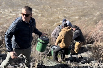 caption:  A line of about a dozen people passed buckets of summer chinook salmon to be released into Hangman Creek.