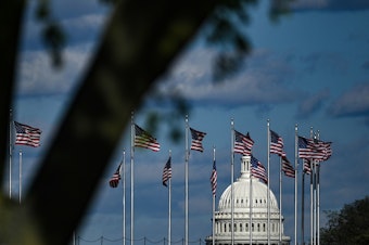 caption: The dome of the U.S. Capitol building is seen behind a row of U.S. flags.