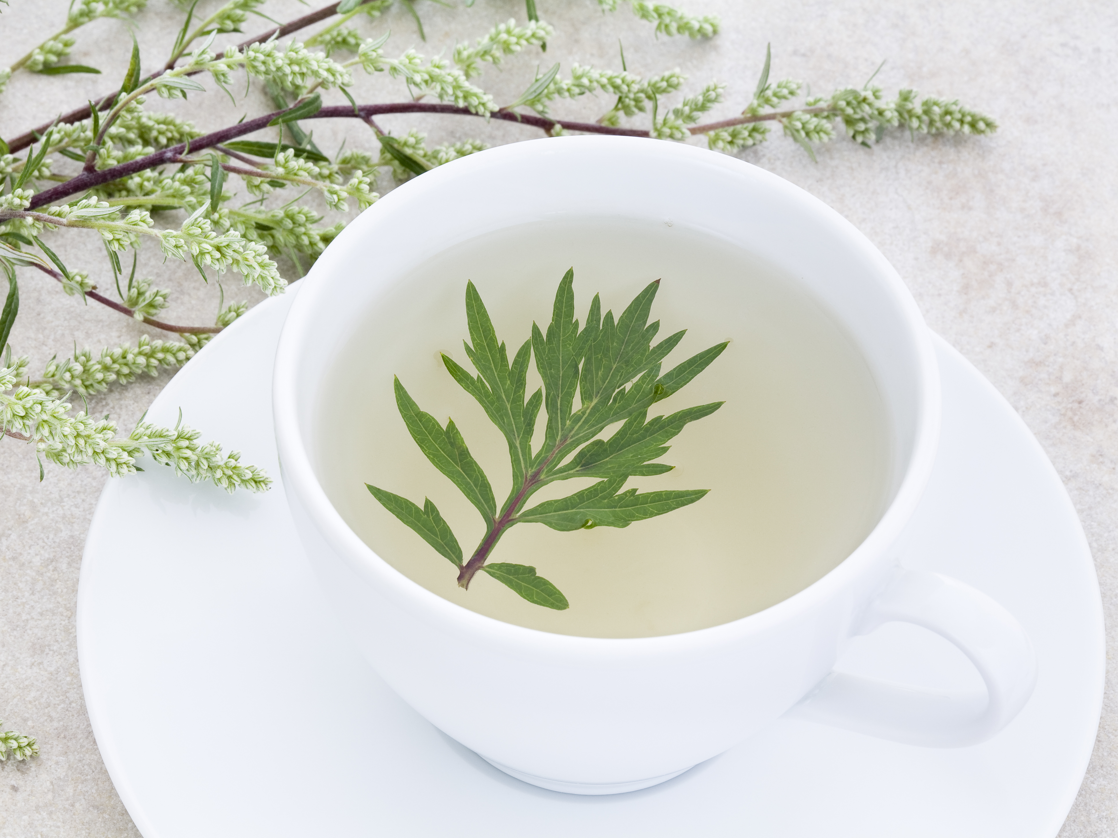 caption: Tea made from the wormwood plant. Wormwood tea has been used as a remedy for fever, liver and gall bladder ailments — and now it's being tested for the flatworm infection schistosomiasis.