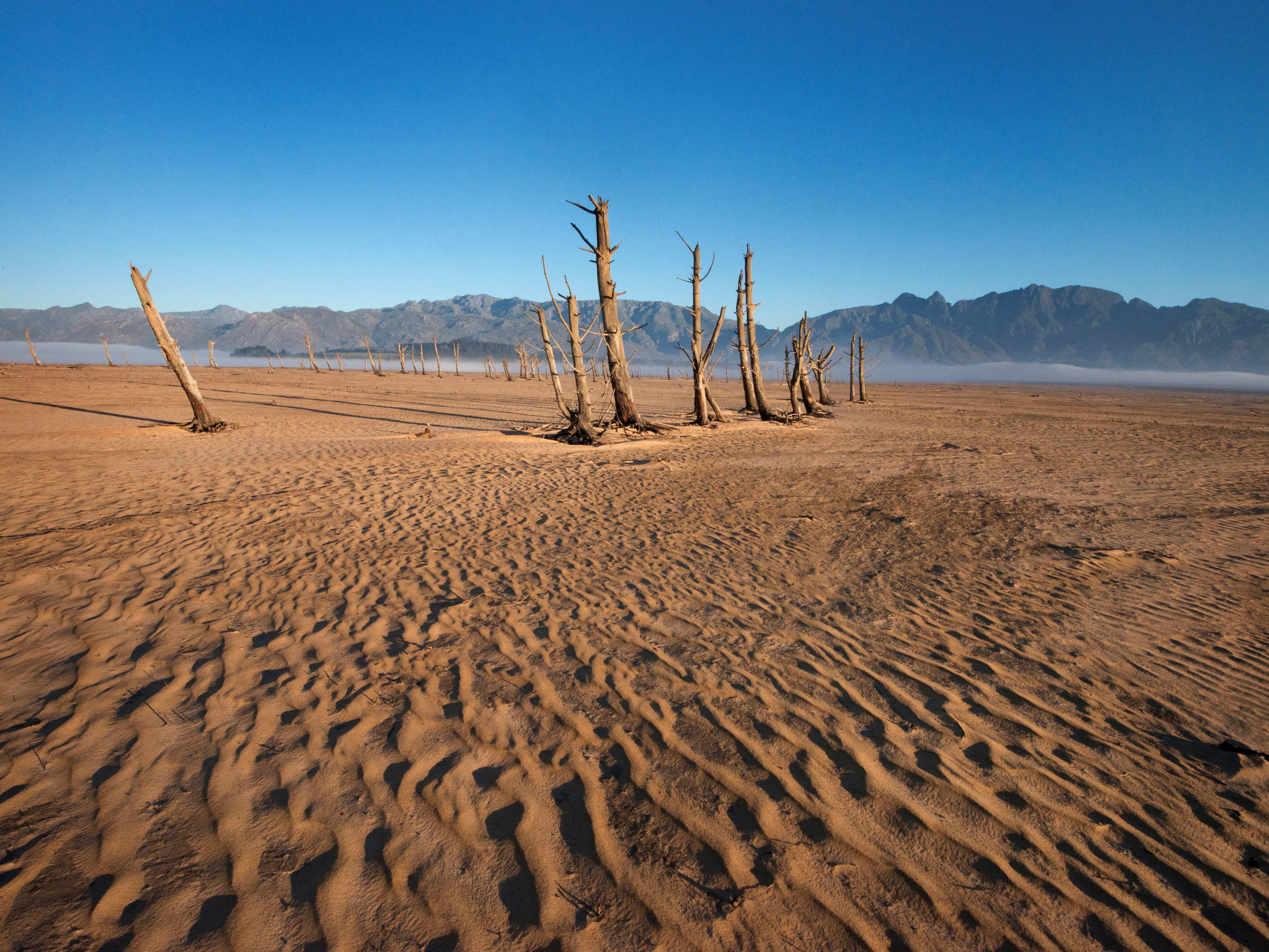 caption: What does dry soil, like this stretch in South Africa, have to do with antimicrobial resistance? A new study offers an unexpected hypothesis: drought can drive higher antibiotic resistance in soil bacteria.