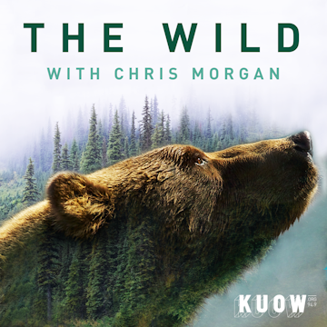 caption: The Wild with Chris Morgan
