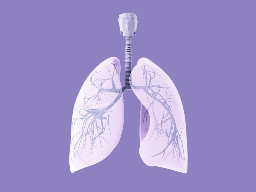 Kuow Daily Schedule Kuow Daily Schedule