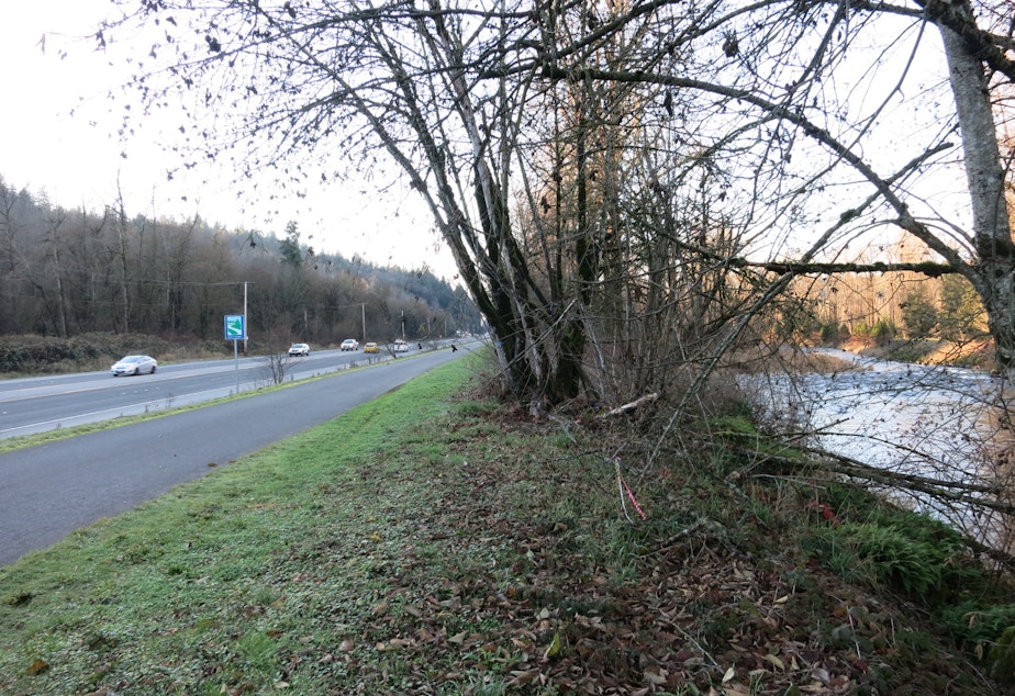 caption: The site (far left) where Lakeside Industries plans to relocate its asphalt plant is separated from the Cedar River (far right) by a four-lane highway, a raised trail, and trees.