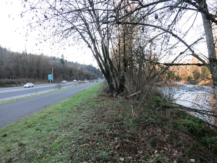 caption: The site (far left) where Lakeside Industries plans to relocate its asphalt plant is separated from the Cedar River (far right) by a four-lane highway, a raised trail, and trees. 