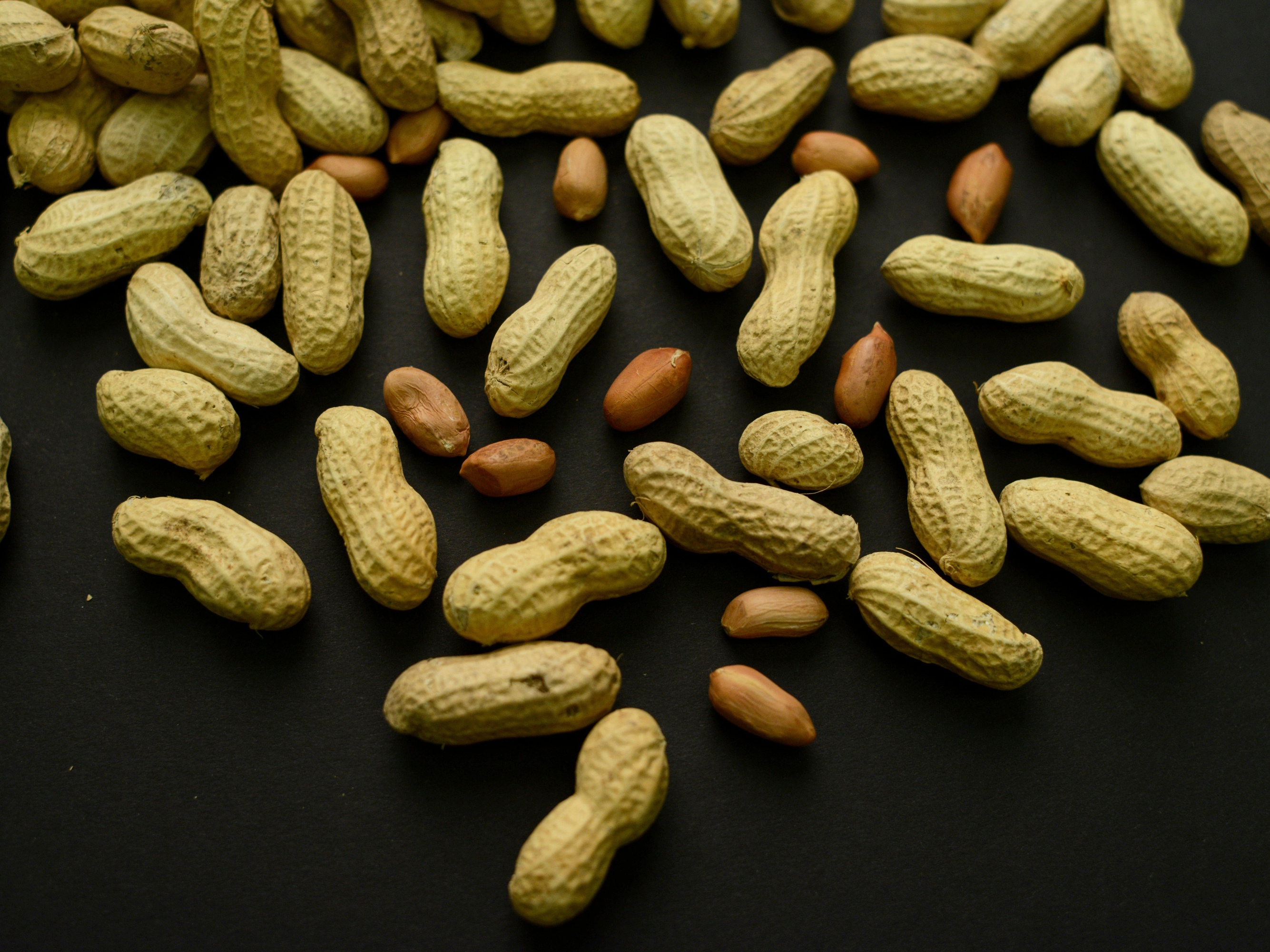 caption: Researchers say fewer children developed peanut allergies after guidelines were put into place calling for introducing peanut products to young children.