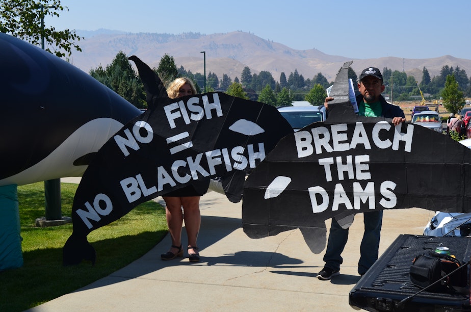 caption: Protesters call for the removal of dams on the Snake River to help salmon spawn -- and consequently feed Puget Sound orcas. The protest came outside a meeting of the governor's orca task force in Wenatchee on Tuesday.
