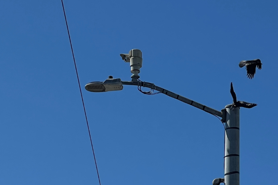 caption: A traffic camera in Seattle along 45th Street NE and Roosevelt Way. 
