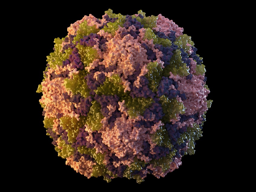 caption: This 2014 illustration made available by the U.S. Centers for Disease Control and Prevention depicts a polio virus particle. On Thursday, July 21, 2022, New York health officials reported a polio case, the first in the U.S. in nearly a decade. (Sarah Poser, Meredith Boyter Newlove/CDC via AP)
