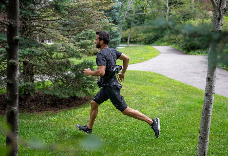 caption: Going for a run in the woods.